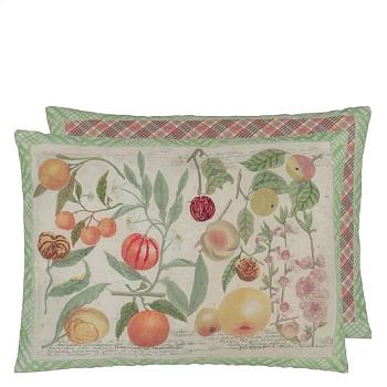 CCJD5075, Oranges, Canvas, John Derian