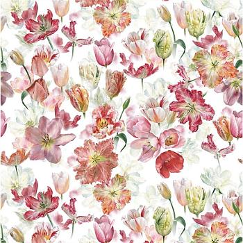 FDG2955/01, Grandiflora Rose, Designers Guild